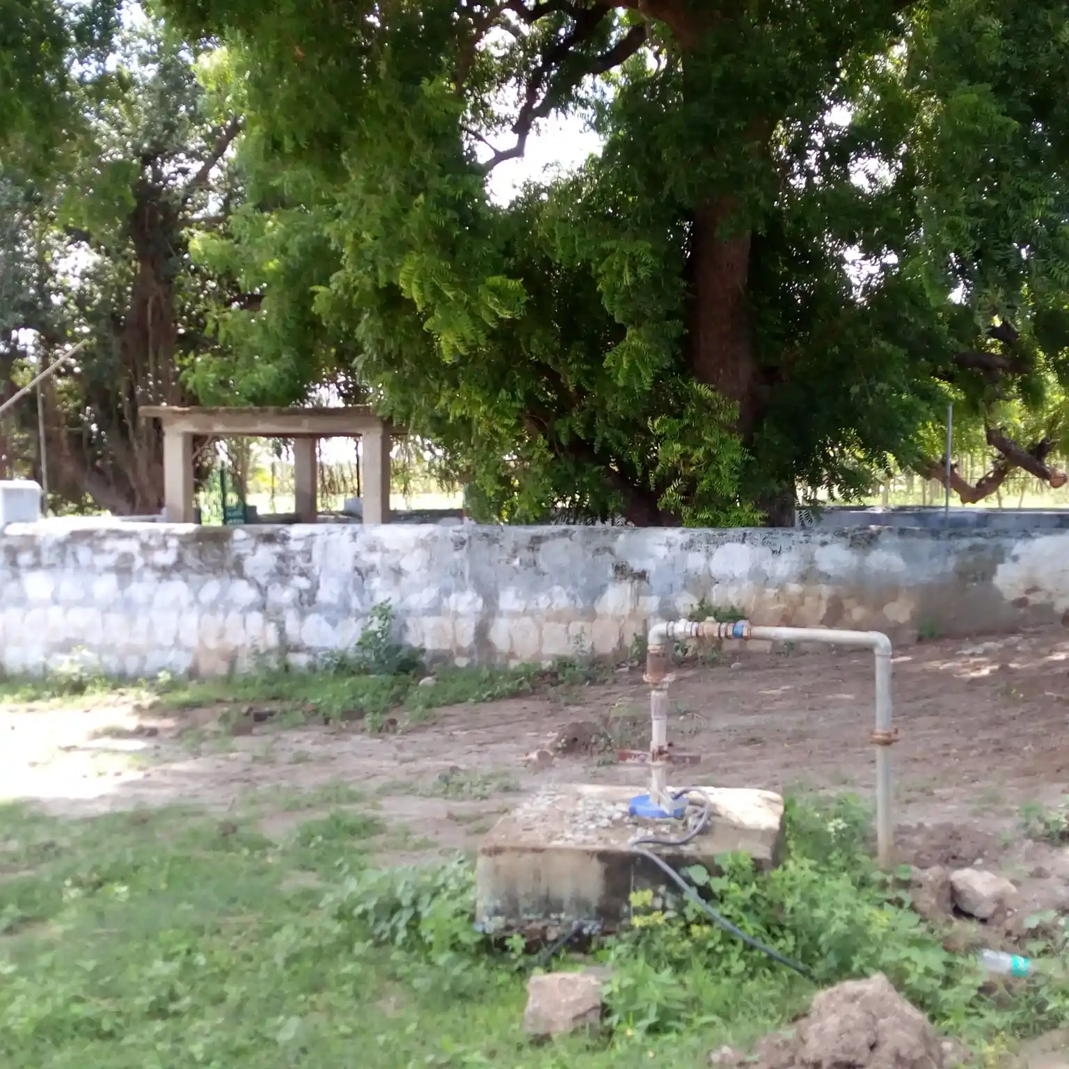 Arulmigu Ayyanar Temple, Nathampatti, Nathampatti - 626138 அருள்மிகு அய்யனார் திருக்கோயில், நத்தம்பட்டி, நத்தம்பட்டி கிராமம் - 626138, Virudhunagar - Ancient Temple Architecture and History Image 3