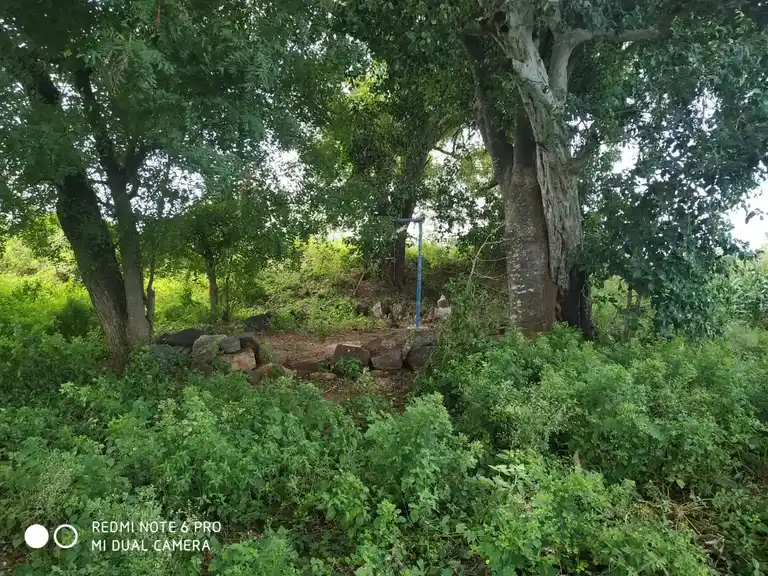 Arulmigu Ayyanar Temple, Near Vaikal Anaikattu, Pattuthurai - 636112 அருள்மிகு அய்யனார் திருக்கோயில், வாய்கால் அணைக்கட்டு அருகில், பட்டுத்துறை - 636112, Salem - Ancient Temple Architecture and History Image 4
