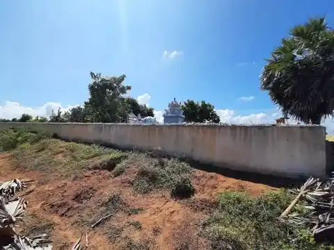 Arulmigu Ayyanar Temple, Neithavasal - 609105 அருள்மிகு அய்யனார் திருக்கோயில், நெய்தவாசல் - 609105, Mayiladuthurai - Ancient Temple Architecture and History Image 2