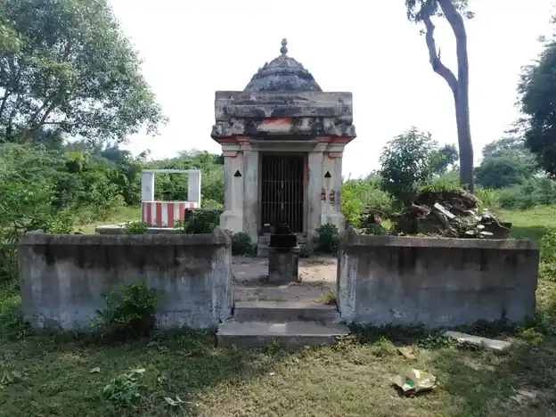 Arulmigu Ayyanar Temple, Nemelli - 609805 Temple
