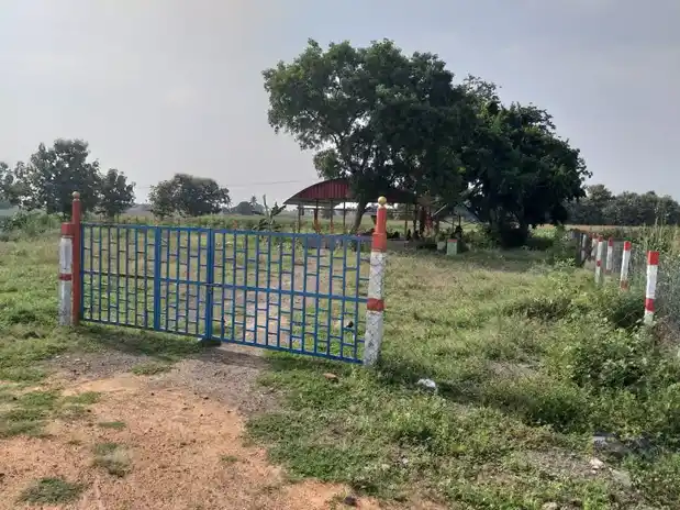 Arulmigu Ayyanar Temple, Noothapur - 621117 Arulmigu Ayyanar Temple, Noothapur - 621117, Perambalur - Ancient Temple Architecture and History Image 3