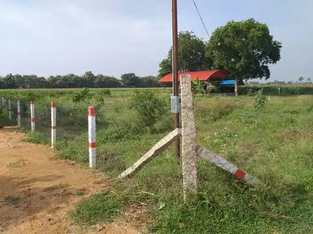 Arulmigu Ayyanar Temple, Noothapur - 621117 Arulmigu Ayyanar Temple, Noothapur - 621117, Perambalur - Ancient Temple Architecture and History Image 4
