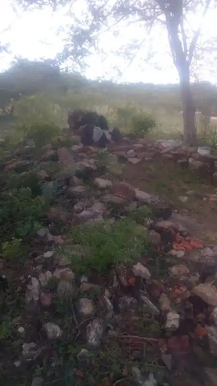 Arulmigu Ayyanar Temple, Noraiyur - 621705 Arulmigu Ayyanar Temple,  - 621705, Ariyalur - Ancient Temple Architecture and History Image 3