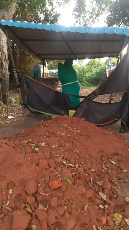 Arulmigu Ayyanar Temple, Olaiyur - 608901