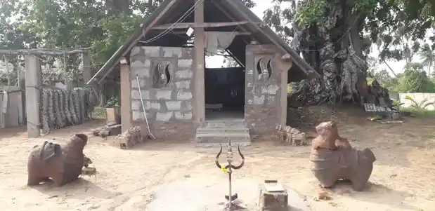 Arulmigu Ayyanar Temple, Pachayankuppam - 607003 அருள்மிகு அய்யனார் திருக்கோயில், Pachayankuppam - 607003, Cuddalore - Ancient Temple Architecture and History Image 2