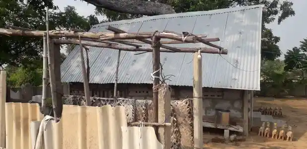 Arulmigu Ayyanar Temple, Pachayankuppam - 607003 அருள்மிகு அய்யனார் திருக்கோயில், Pachayankuppam - 607003, Cuddalore - Ancient Temple Architecture and History Image 3