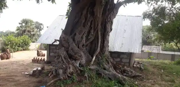Arulmigu Ayyanar Temple, Pachayankuppam - 607003 அருள்மிகு அய்யனார் திருக்கோயில், Pachayankuppam - 607003, Cuddalore - Ancient Temple Architecture and History Image 4