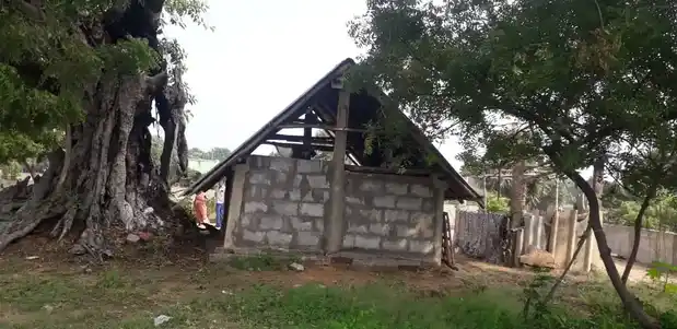 Arulmigu Ayyanar Temple, Pachayankuppam - 607003 அருள்மிகு அய்யனார் திருக்கோயில், Pachayankuppam - 607003, Cuddalore - Ancient Temple Architecture and History Image 5