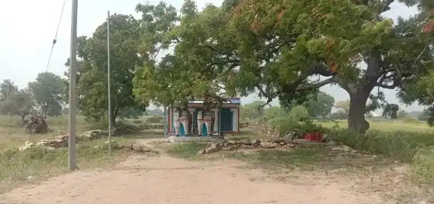 Arulmigu Ayyanar Temple, Padalur - 621109