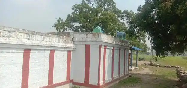 Arulmigu Ayyanar Temple, Padalur - 621109 அருள்மிகு அய்யனார்,செல்லியம்மன் திருக்கோயில், Padalur - 621109, Perambalur - Ancient Temple Architecture and History Image 4