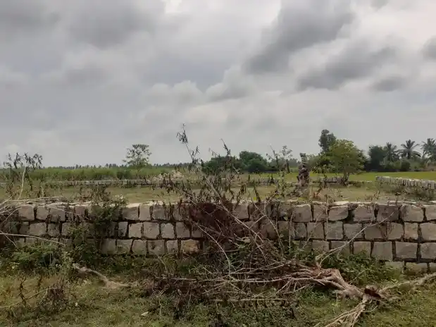 Arulmigu Ayyanar Temple, Palamuthurkudikadu - 614625 அருள்மிகு அய்யனார் திருக்கோயில், Palamuthurkudikadu - 614625, Thanjavur - Ancient Temple Architecture and History Image 2