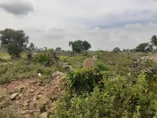 Arulmigu Ayyanar Temple, Palamuthurkudikadu - 614625 அருள்மிகு அய்யனார் திருக்கோயில், Palamuthurkudikadu - 614625, Thanjavur - Ancient Temple Architecture and History Image 3