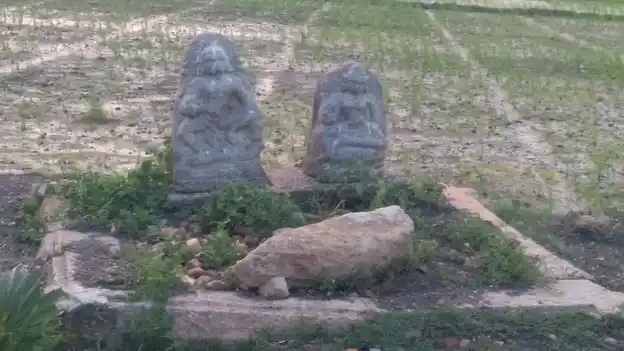 Arulmigu Ayyanar Temple, Palinganatham - 621651 Temple