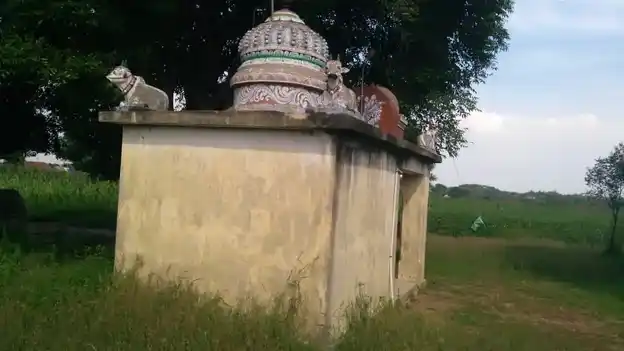 Arulmigu Ayyanar Temple, Panangur - 621701 Temple