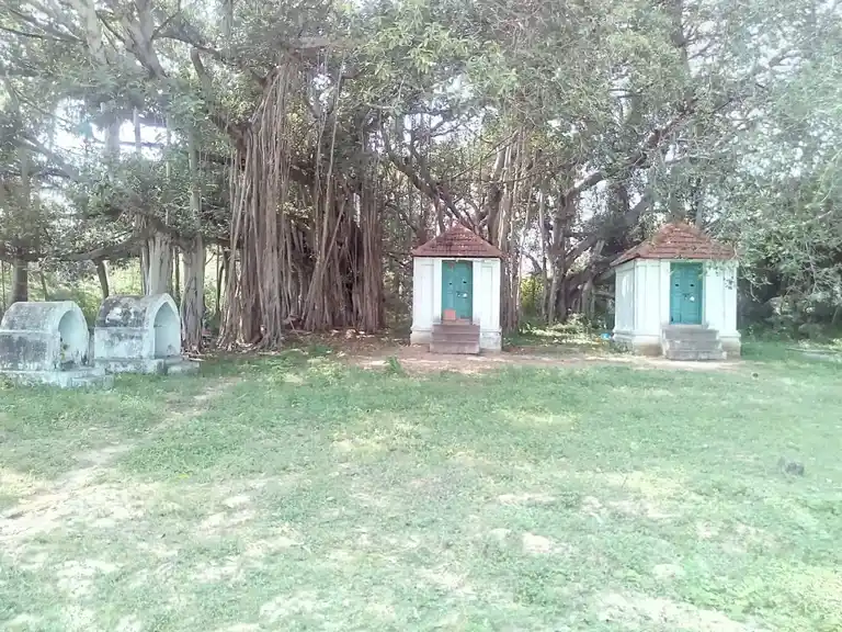 Arulmigu Ayyanar Temple, Panavayal - 614620