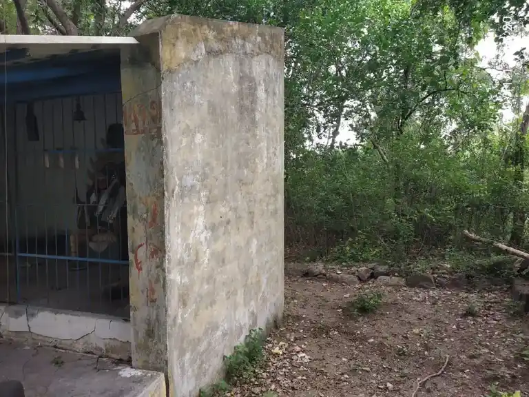 Arulmigu Ayyanar Temple, Pandagapadi - 621117 Arulmigu Ayyanar Temple, Pandagapadi - 621117, Perambalur - Ancient Temple Architecture and History Image 2