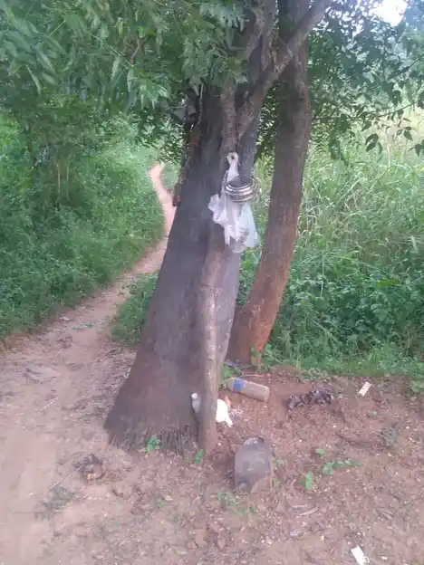 Arulmigu Ayyanar Temple, Paraipatti - 625503