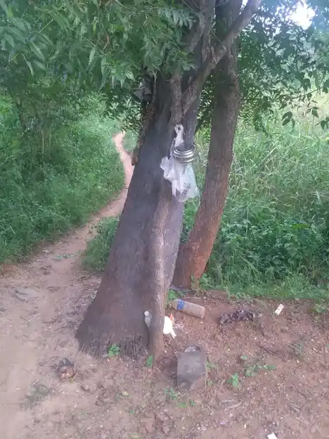 Arulmigu Ayyanar Temple, Paraipatti - 625503 அருள்மிகு அய்யனார் திருக்கோயில், Paraipatti, Paraipatti - 625503, Madurai - Ancient Temple Architecture and History Image 5