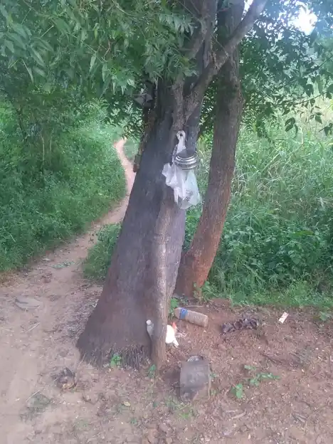 Arulmigu Ayyanar Temple, Paraipatti - 625503 அருள்மிகு அய்யனார் திருக்கோயில், Paraipatti, Paraipatti - 625503, Madurai - Ancient Temple Architecture and History Image 7