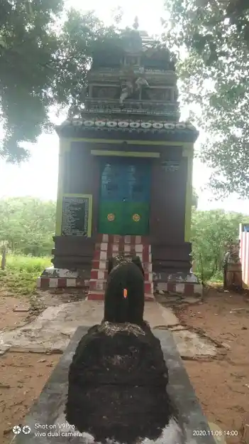 Arulmigu Ayyanar Temple, Paravai - 625402