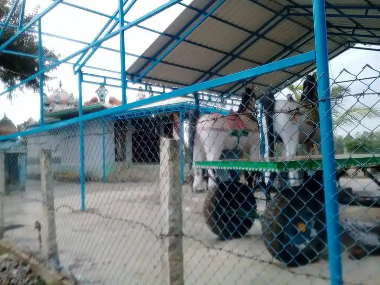 Arulmigu Ayyanar Temple, Parugal - 621804 அருள்மிகு அய்யனார் திருக்கோயில், Parugal - 621804, Ariyalur - Ancient Temple Architecture and History Image 2