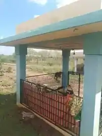 Arulmigu Ayyanar Temple, Pattakulam Saillipatti, Pattakulam Saillipatti - 626127 அருள்மிகு அய்யனார் திருக்கோயில், பாட்டக்குளம்சல்லிபட்டி, பாட்டக்குளம்சல்லிபட்டி - 626127, Virudhunagar - Ancient Temple Architecture and History Image 3