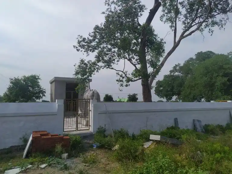 Arulmigu Ayyanar Temple, Peelvadi - 621708