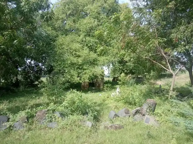 Arulmigu Ayyanar Temple, Perankiyum - 606607 Arulmigu Ayyanar Temple,  - 606607, Cuddalore - Ancient Temple Architecture and History Image 3
