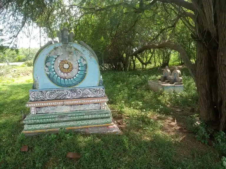 Arulmigu Ayyanar Temple, Perattukottai - 630312