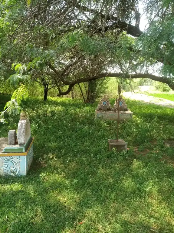 Arulmigu Ayyanar Temple, Perattukottai - 630312 அருள்மிகு. அய்யனார் திருக்கோயில், பேராட்டுக்கோட்டை - 630312, Sivagangai - Ancient Temple Architecture and History Image 4