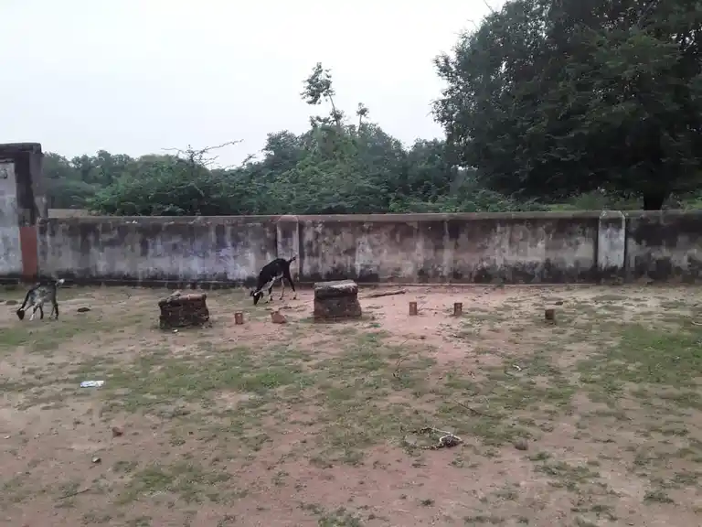 Arulmigu Ayyanar Temple, Periyakannanur - 630561 அருள்மிகு. அய்யனார் திருக்கோயில், Periyakannanur, Periyakannanur - 630561, Sivagangai - Ancient Temple Architecture and History Image 3