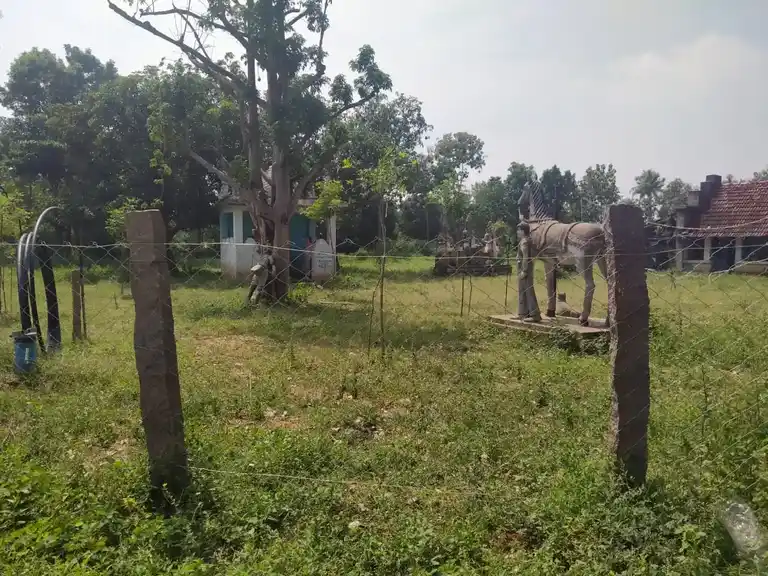 Arulmigu Ayyanar Temple, Periyakuruchi - 621719 Arulmigu Ayyanar Temple,  - 621719, Ariyalur - Ancient Temple Architecture and History Image 4