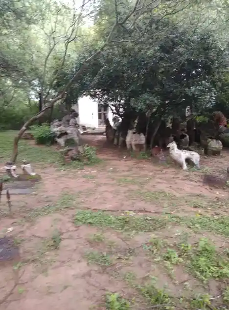 Arulmigu Ayyanar Temple, Periyavalayam, Ariyalur - 621802 Temple