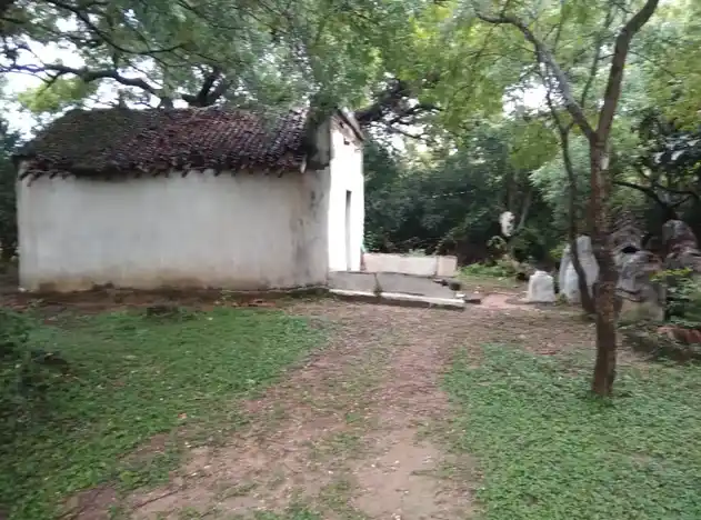 Arulmigu Ayyanar Temple, Periyavalayam, Ariyalur - 621802 Arulmigu Ayyanar Temple,  - 621802, Ariyalur - Ancient Temple Architecture and History Image 2
