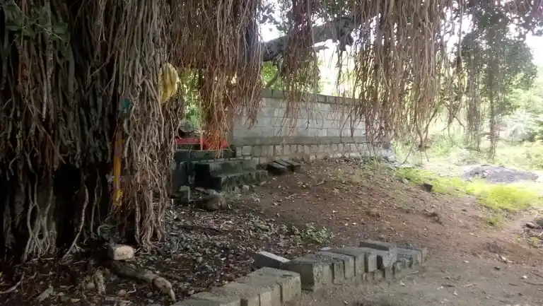 Arulmigu Ayyanar Temple, Perumanam - 606806 அருள்மிகு அய்யனார் திருக்கோயில், Perumanam - 606806, Tiruvannamalai - Ancient Temple Architecture and History Image 7