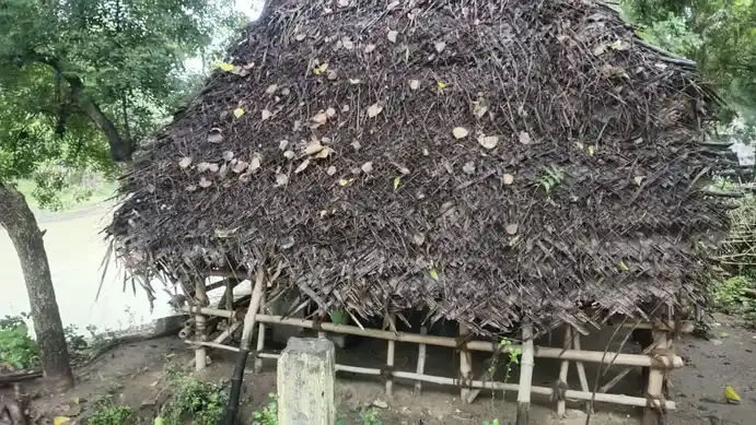Arulmigu Ayyanar Temple, Perumpugoolar - 610104 Arulmigu Ayyanar Temple, Perumpugoolar - 610104, Thiruvarur - Ancient Temple Architecture and History Image 2