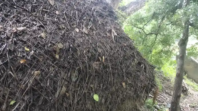 Arulmigu Ayyanar Temple, Perumpugoolar - 610104 Arulmigu Ayyanar Temple, Perumpugoolar - 610104, Thiruvarur - Ancient Temple Architecture and History Image 4