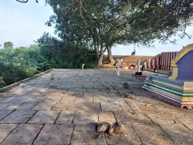 Arulmigu Ayyanar Temple, Perunkudi - 625022