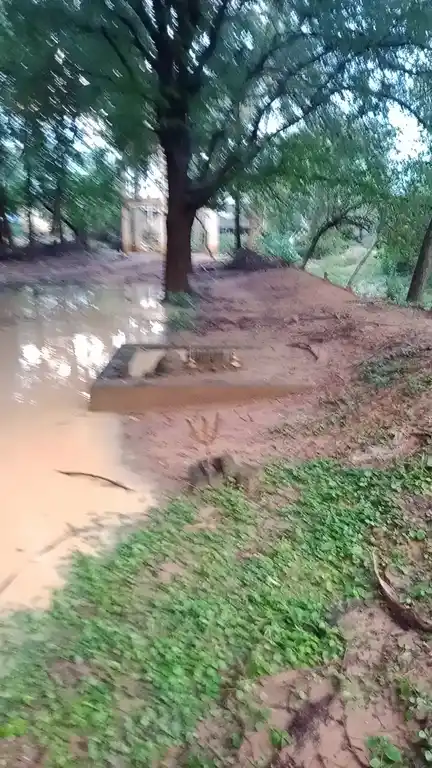 Arulmigu Ayyanar Temple, Perunthanam Nellithoppu - 612903 Temple
