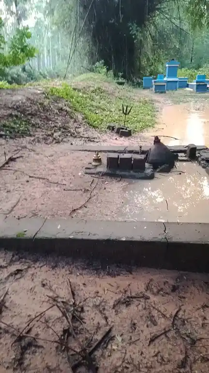 Arulmigu Ayyanar Temple, Perunthanam Nellithoppu - 612903 அருள்மிகு பெருந்தனம் அய்யனார் திருக்கோயில், நெல்லிதோப்பு - 612903, Ariyalur - Ancient Temple Architecture and History Image 4