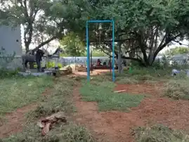 Arulmigu Ayyanar Temple, Pillapalaiyam - 621214