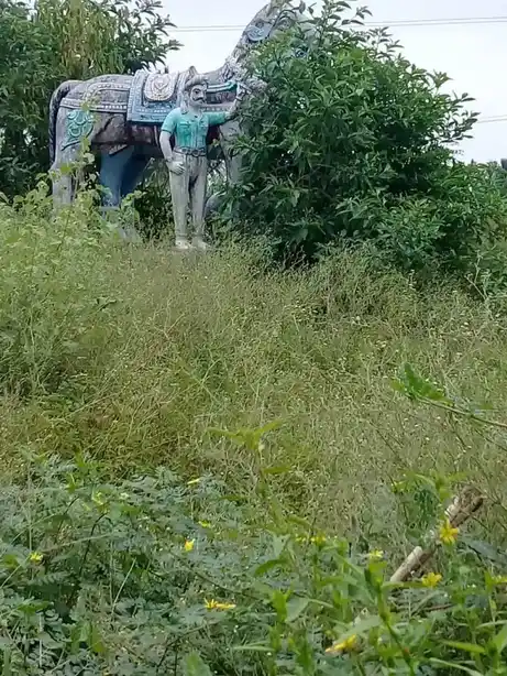 Arulmigu Ayyanar Temple, Pimbalur - 621117