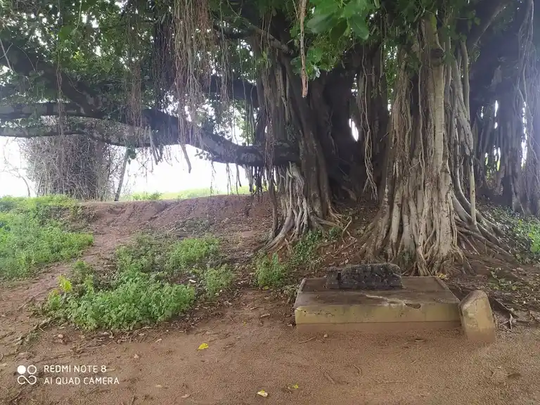 Arulmigu Ayyanar Temple, Pirandaikulam - 630561 Temple