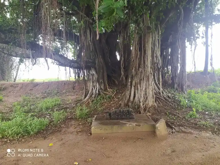 Arulmigu Ayyanar Temple, Pirandaikulam - 630561 Arulmigu Ayyanar Temple, Pirandaikulam - 630561, Sivagangai - Ancient Temple Architecture and History Image 4