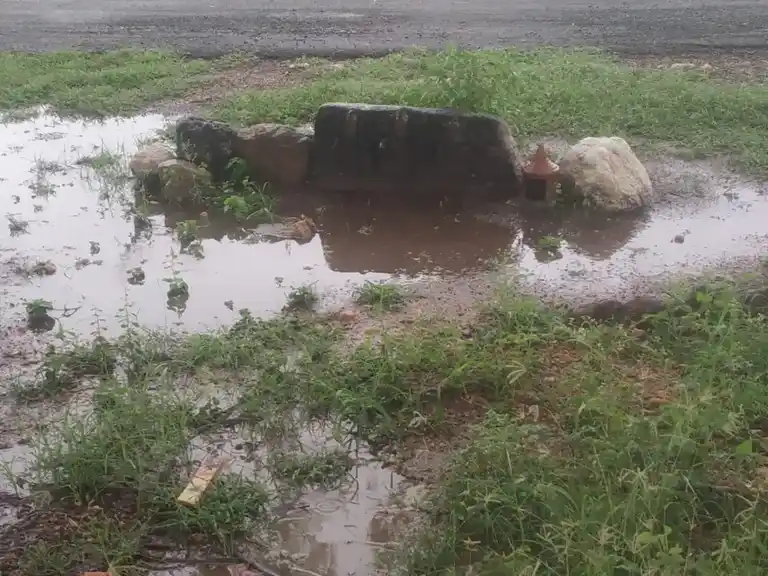 Arulmigu Ayyanar Temple, Ponnampatti - 625704