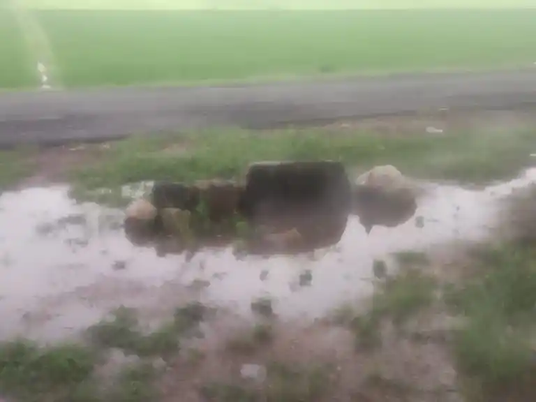 Arulmigu Ayyanar Temple, Ponnampatti - 625704 அருள்மிகு அய்யனார் திருக்கோயில், Ponnampatti - 625704, Madurai - Ancient Temple Architecture and History Image 5