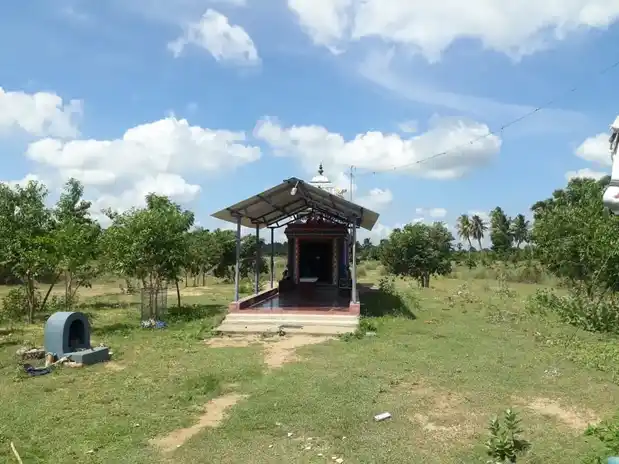 Arulmigu Ayyanar Temple, Ponnavarayankottai - 614601