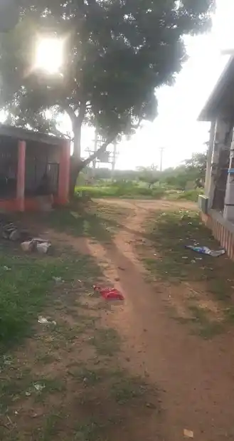 Arulmigu Ayyanar Temple, Poovanthi - 630611 அருள்மிகு. அய்யனார் என்ற பாந்தமுடைய அய்யனார் திருக்கோயில், Poovanthi - 630611, Sivagangai - Ancient Temple Architecture and History Image 2