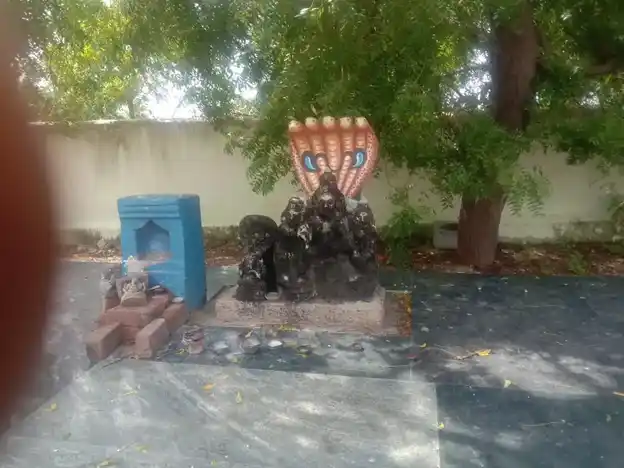 Arulmigu Ayyanar Temple, Pudukulam - 625003