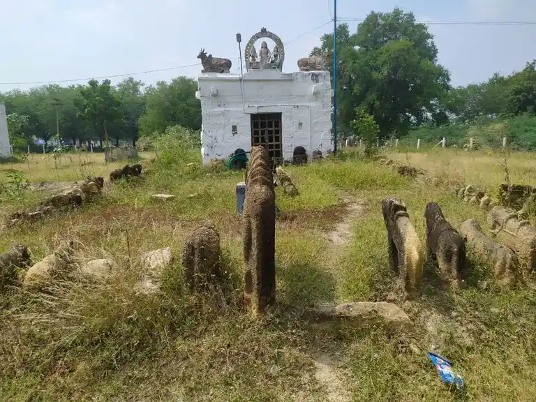 Arulmigu Ayyanar Temple, Puduvettakudi - 621716